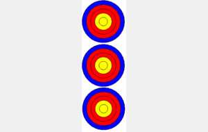 Compétition 2x18m + Duel Elancourt 