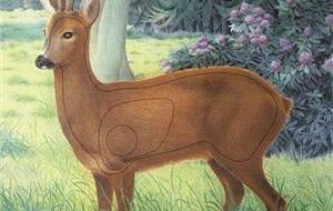 Concours Tir Nature Evreux oct 2025