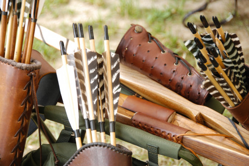 Stage de tir instinctif